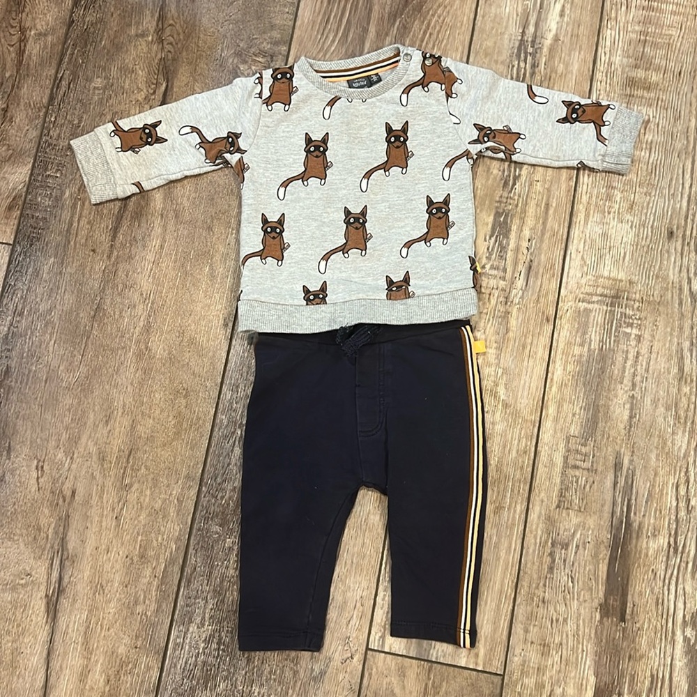 Raccoon Sweatsuit